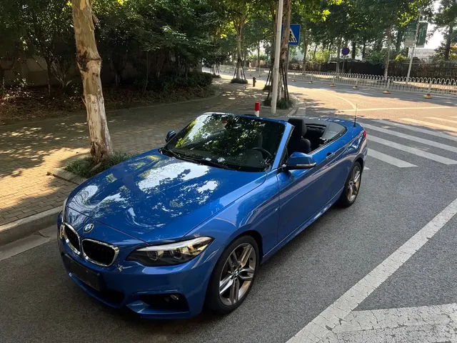 BMW 2 Series (Import) 2018 225i Convertible Coupe Premium M Sport Package