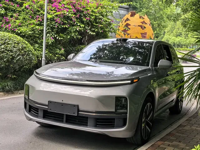 Li Auto Li Xiang L9 2023 Model Pro