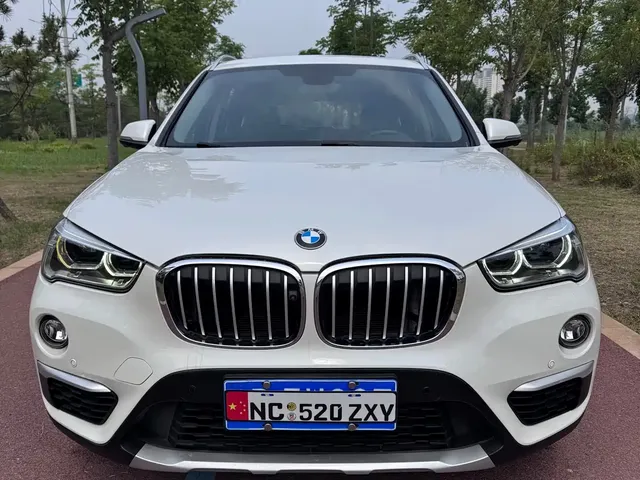 BMW X1 2020 xDrive25Li Premium Edition