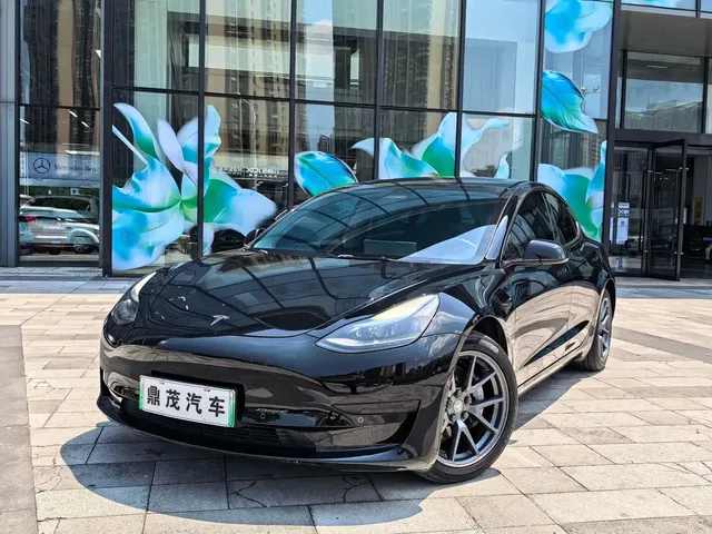 Tesla Model 3 2022 Model Rear-Wheel Drive Version