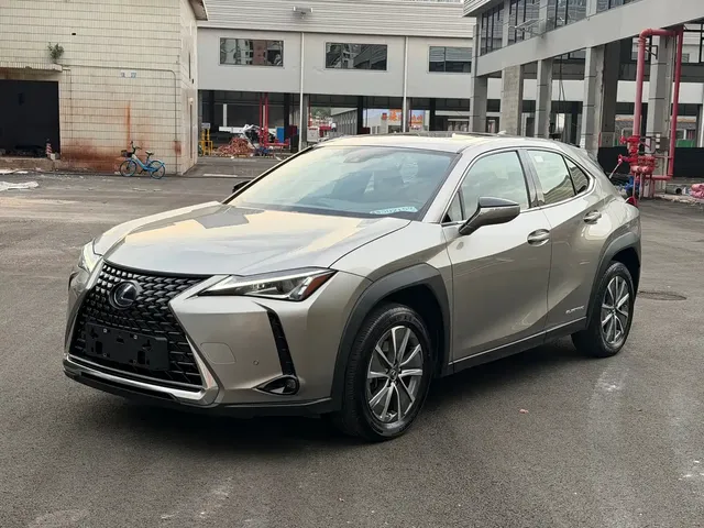 Lexus UX Electric 2020 300e Pure Yue Edition