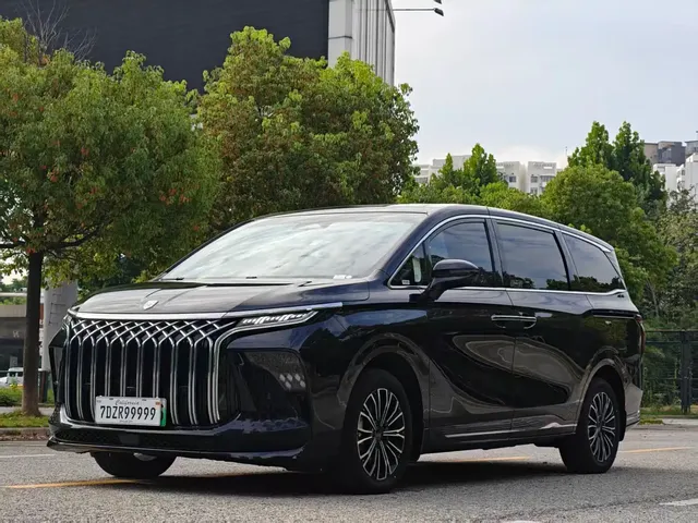 Dongfeng Fengxing Starlight V9 2024 1.5TD 200km Chinese Knot Series Exclusive