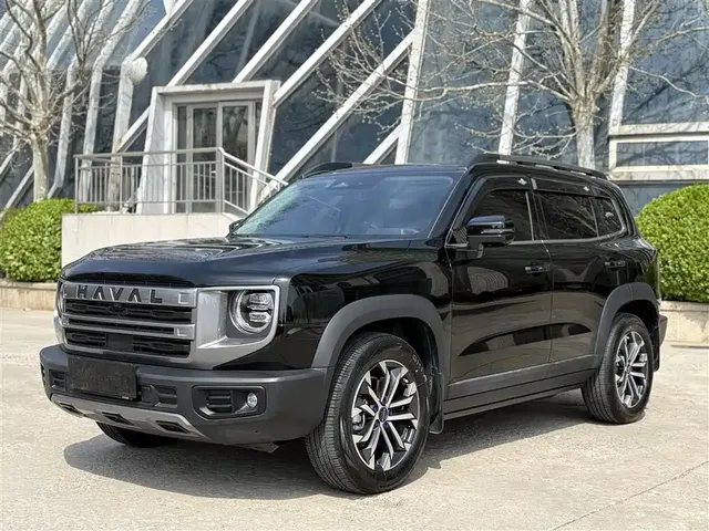 Haval Big Dog 2024 1.5T DCT Border Collie Edition
