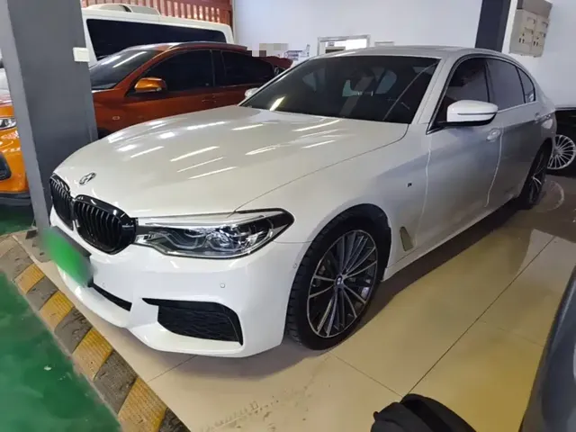BMW 5 Series 2020 530Li Leading M Sport Package