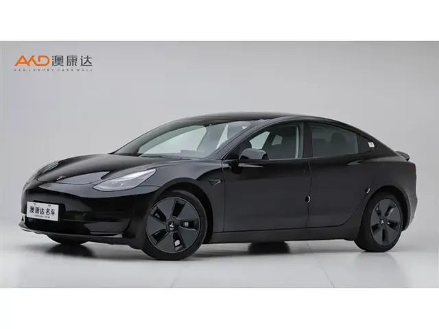 Tesla Model 3 2021 Standard Range Rear-Wheel Drive Upgrade