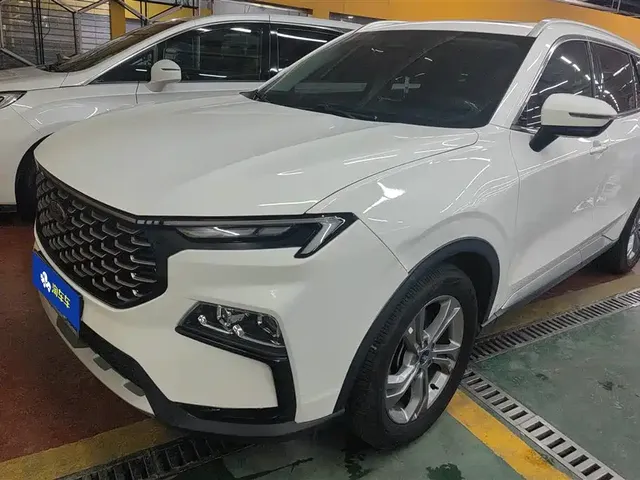 Ford Lingrui 2022 EcoBoost 170 Platinum