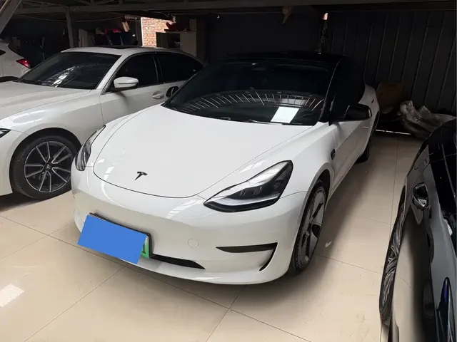 Tesla Model 3 2022 Model Rear-Wheel Drive Version