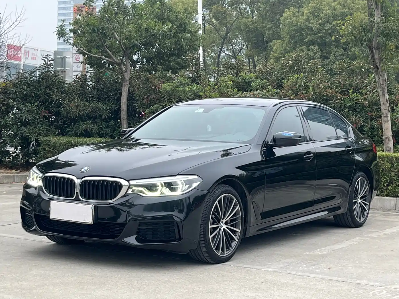 BMW 5 Series 2020 530Li Leading M Sport Package