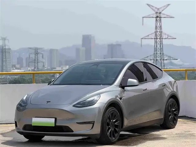 Tesla Model Y 2021 Standard Range Rear-Wheel Drive