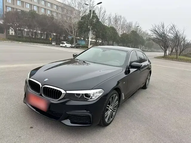 BMW 5 Series 2019 530Li Leading M Sport Package