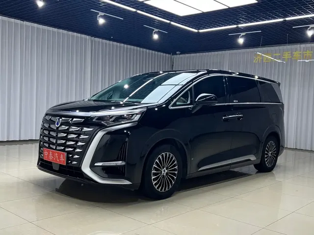 Denza D9 2022 DM-i 970 All-Wheel Drive Honor Edition