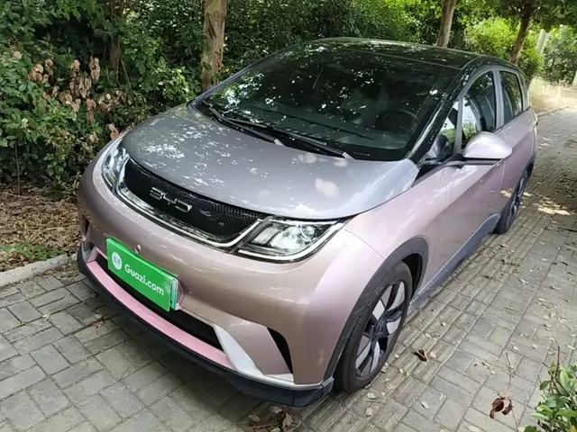 BYD Dolphin 2021 401km Knight Edition