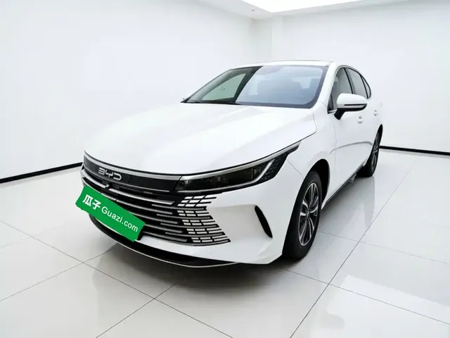 BYD Destroyer 05 2024 Glory Edition DM-i 55KM Luxury