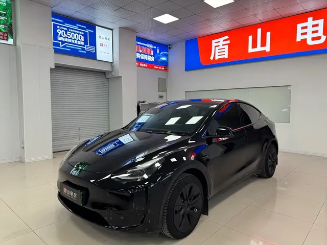 Tesla Model Y 2021 Standard Range Rear-Wheel Drive
