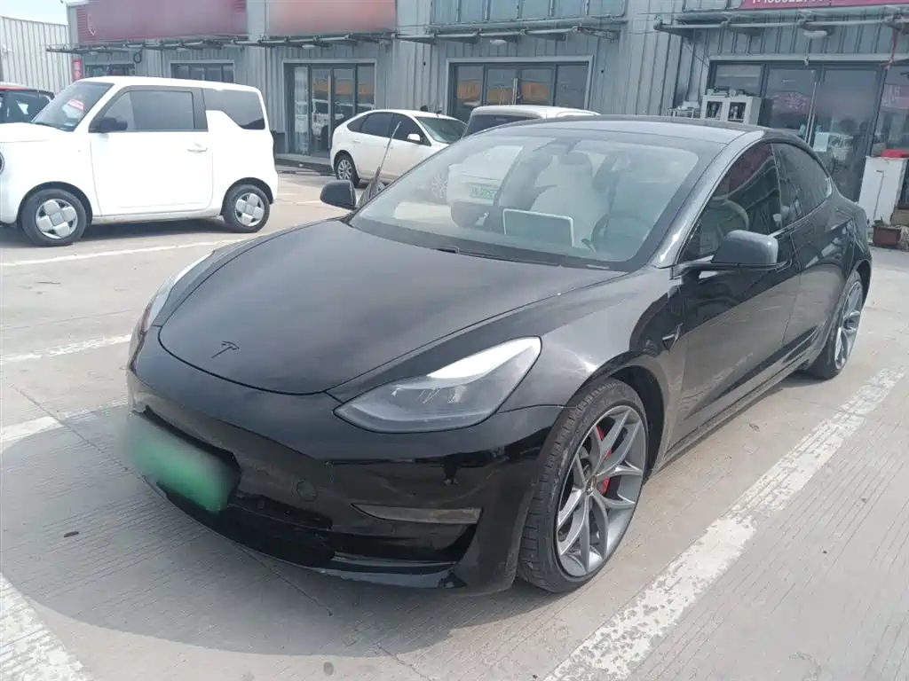 Tesla Model 3 2021 Performance High-Performance All-Wheel Drive