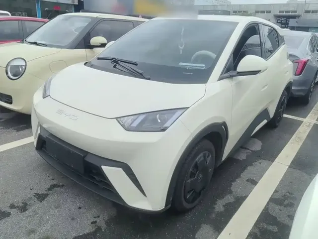 BYD Seagull 2023 Vitality Edition
