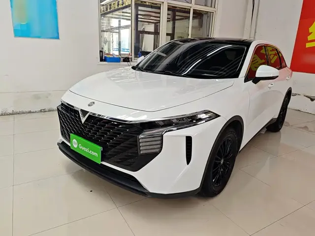 Venucia Big V 2021 260T Idol Edition