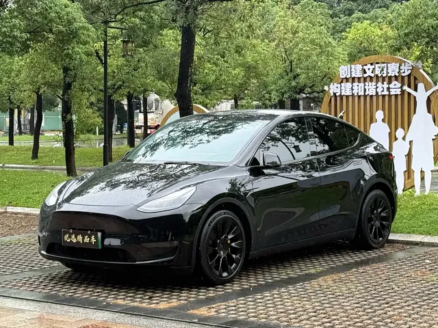 Tesla Model Y 2021 Standard Range Rear-Wheel Drive