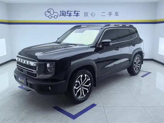 Haval Big Dog 2024 1.5T DCT Border Collie Edition