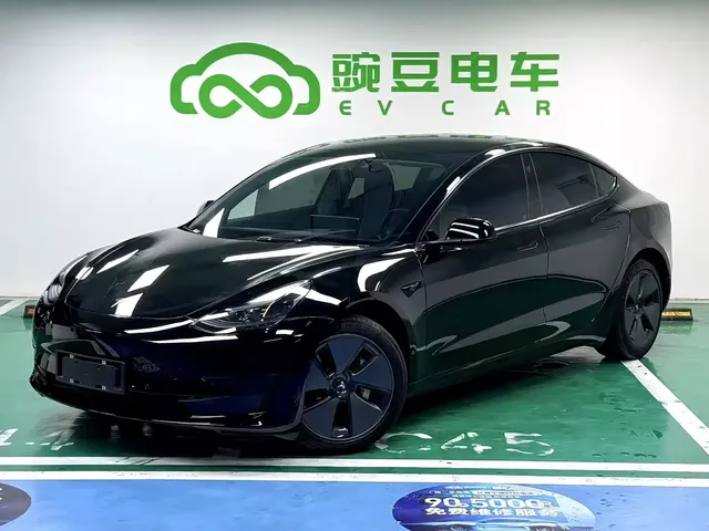 Tesla Model 3 2021 Facelift Standard Range RWD Upgrade 3D1