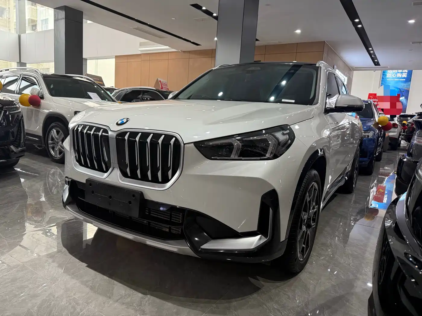 BMW X1 2023 sDrive25Li X Design Package