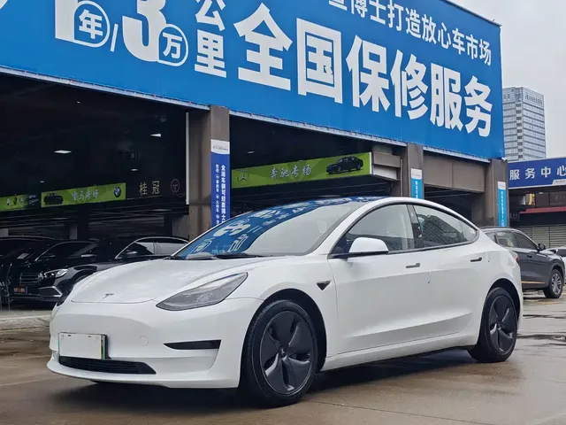 Tesla Model 3 2022 Model Rear-Wheel Drive Version