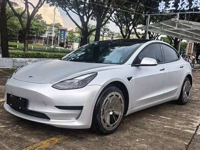 Tesla Model 3 2022 Model Rear-Wheel Drive Version