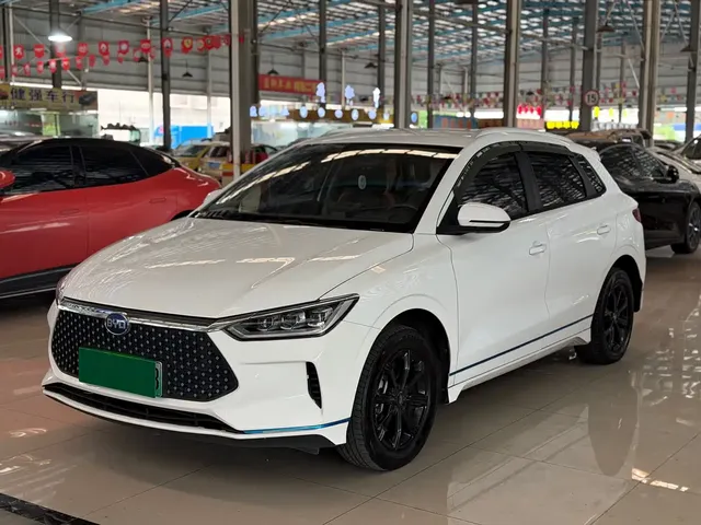 BYD e2 2021 Luxury Edition