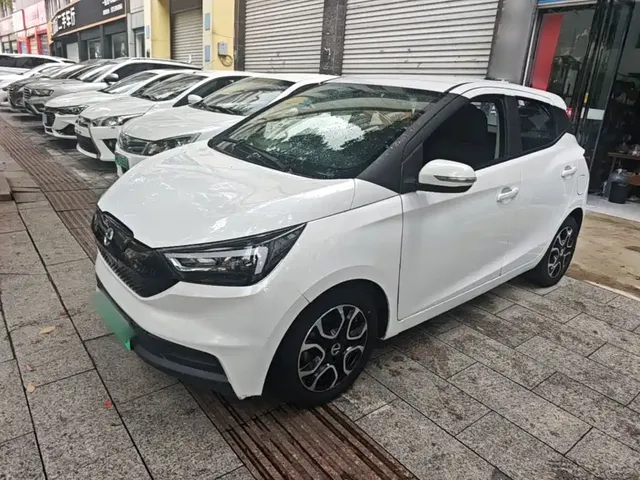 JMCG New Energy Yizhi EV3 2022 Mini Radar Joy Run Edition