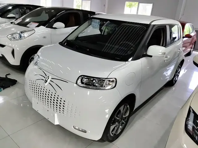 Ora White Cat 2022 Upgraded 305km Luxury (NMC)