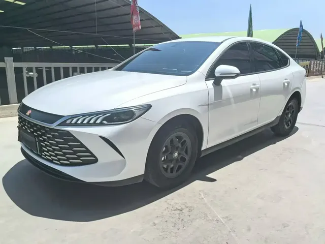 BYD Qin PLUS 2025 DM-i Smart Drive 55KM Leader