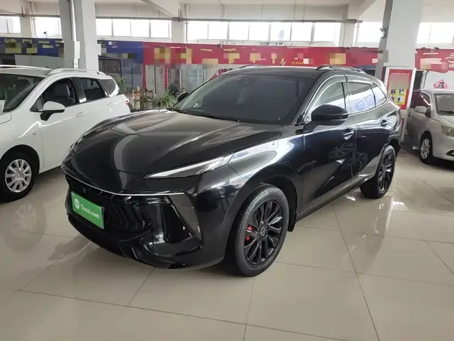 Dongfeng Fengxing T5 EVO 2021 1.5TD DCT Diamond Edition