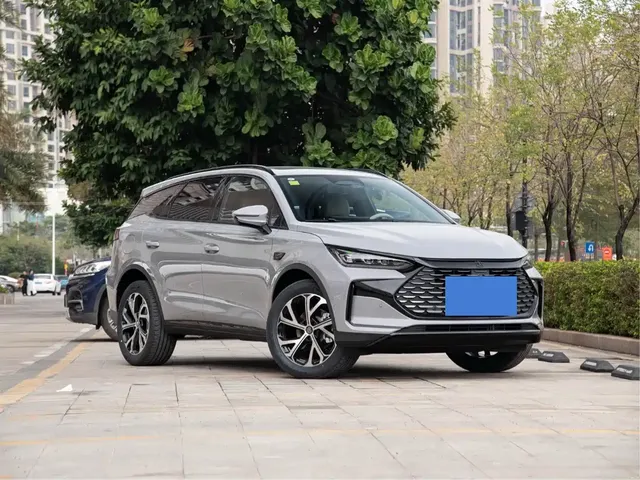 BYD Tang New Energy 2025 DM-i 115KM Premium