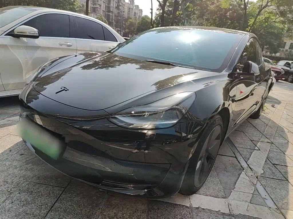 Tesla Model 3 2022 Model Rear-Wheel Drive Version