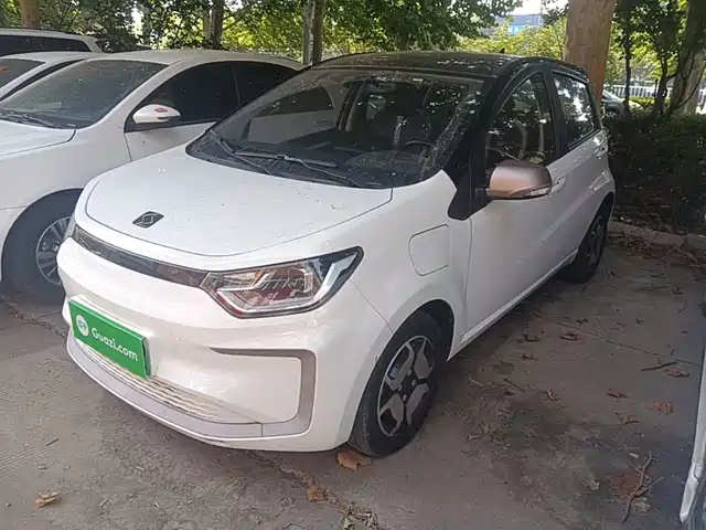 Sehol Flower Fairy 2021 Jimei Edition 302km Luxury