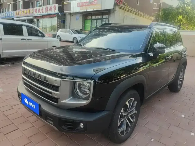 Haval Big Dog 2024 1.5T DCT Border Collie Edition