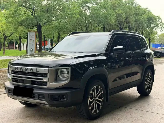 Haval Big Dog 2024 1.5T DCT Border Collie Edition