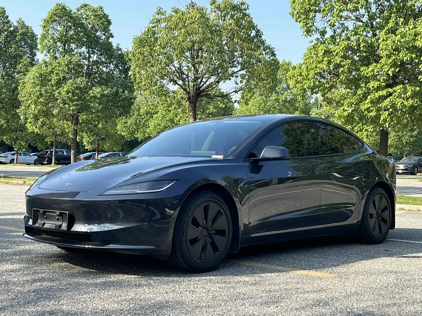 Tesla Model 3 2025 Model Rear-Wheel Drive Edition