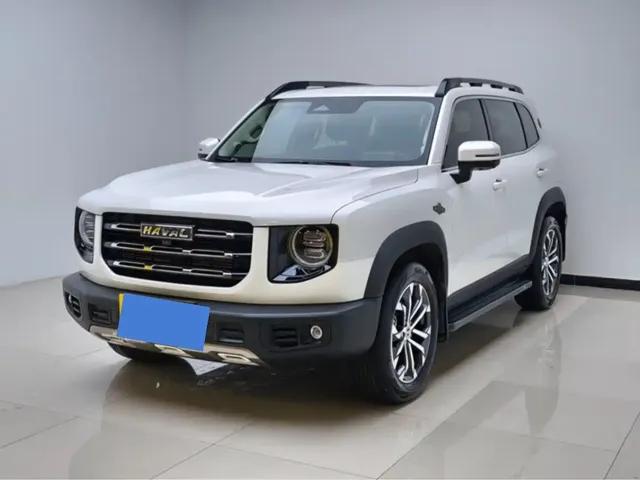 Haval Big Dog 2021 1.5T DCT 2WD Border Collie Edition