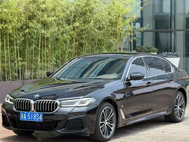 BMW 5 Series 2022 530Li Leading M Sport Package