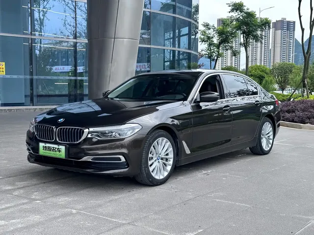 BMW 5 Series New Energy 2019 Facelift 530Le Luxury Package