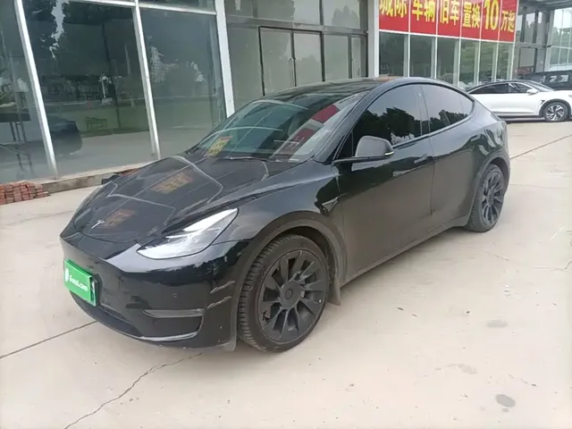 Tesla Model Y 2021 Standard Range Rear-Wheel Drive