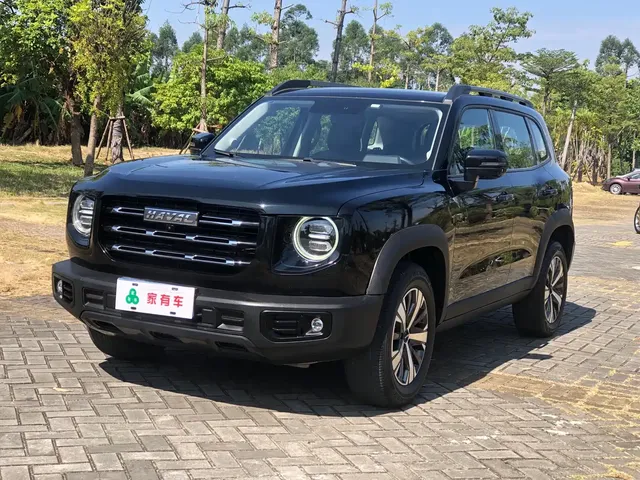 Haval Big Dog 2021 1.5T DCT 2WD Labrador Edition