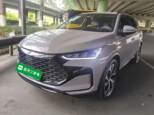 BYD Tang New Energy 2025 DM-i 115KM Flagship