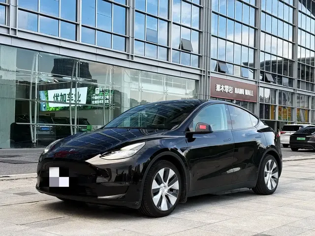 Tesla Model Y 2021 Standard Range Rear-Wheel Drive