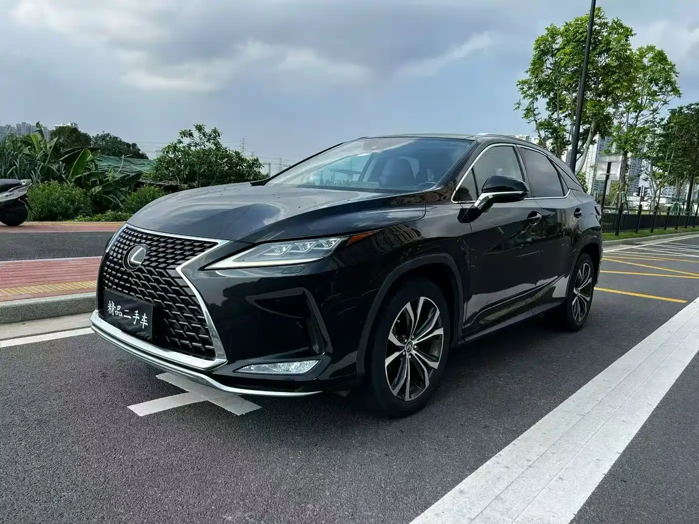 Lexus RX 2020 300 4WD Elegance Edition China VI