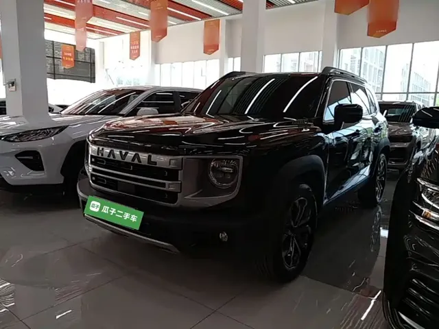 Haval Big Dog 2024 1.5T DCT Border Collie Edition