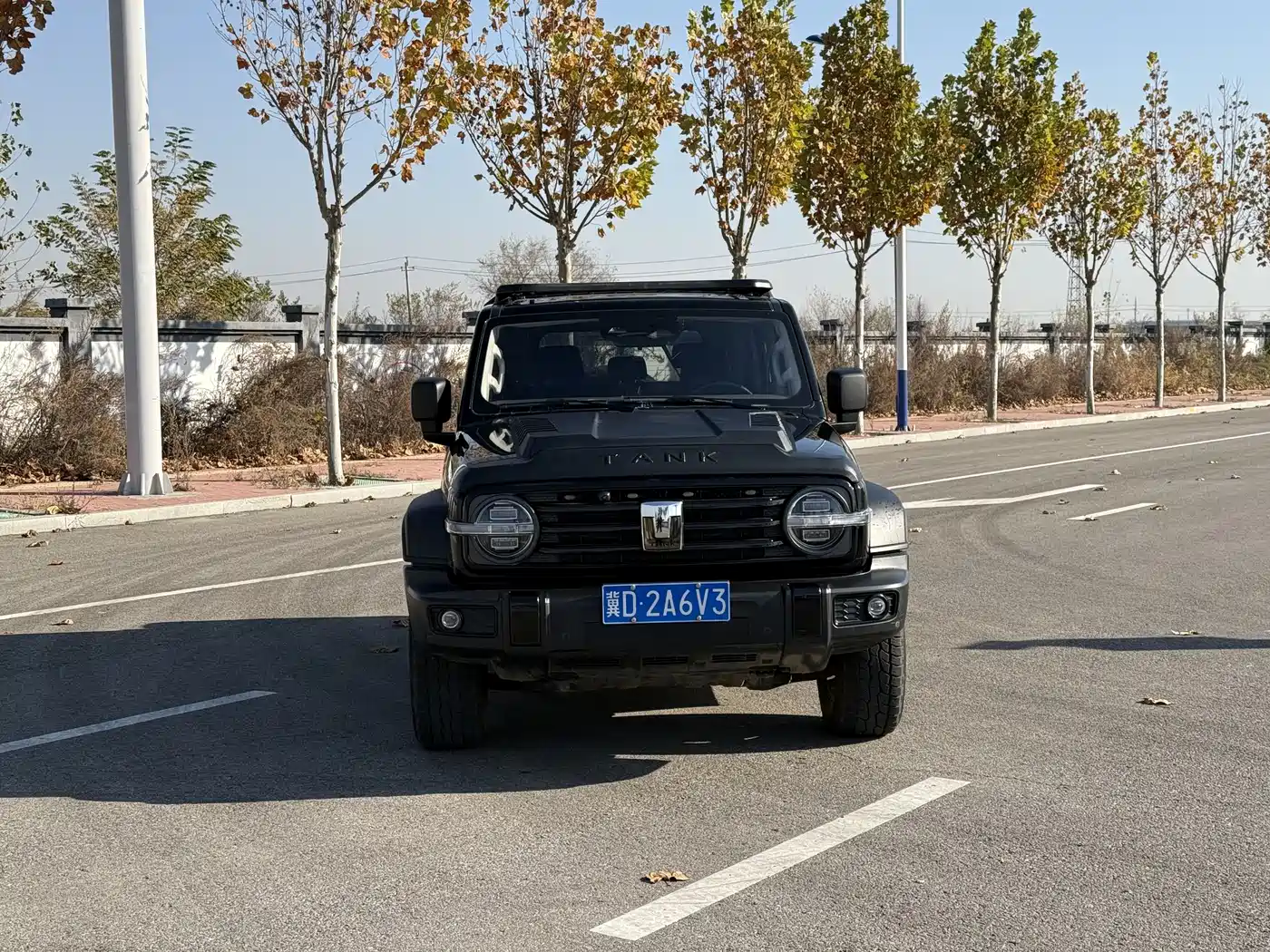 Tank 300 2021 Off-road Version 2.0T Conqueror