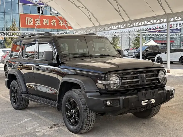 Tank 300 2021 Off-road Version 2.0T Conqueror