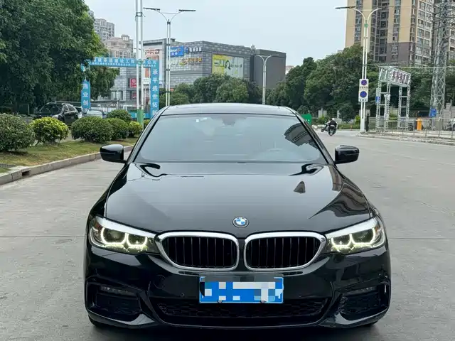 BMW 5 Series 2019 530Li Leading M Sport Package
